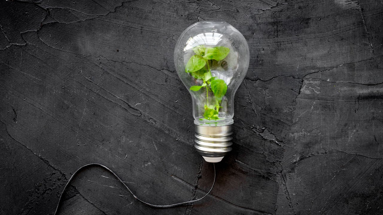 Especialistas en energía solar y renovables