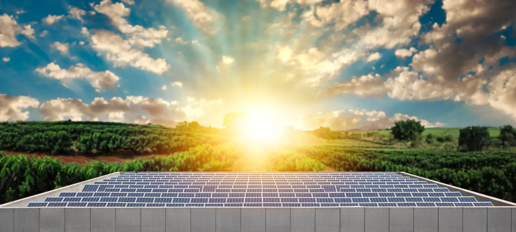 ¿Cómo elegir las placas solares que más me convienen?